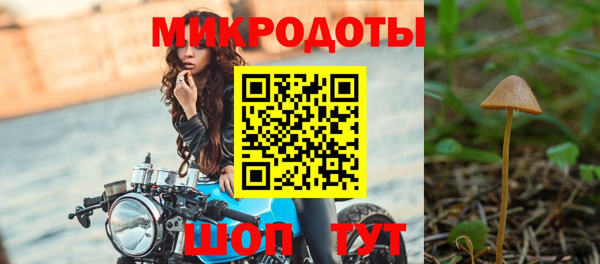 Галлюциногенные грибы Psilocybine cubensis  Галлюциногенные грибы Cubensis  Вход с VPN  Ленинск-Кузнецкий 